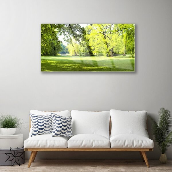 Quadro in vetro Erba Alberi Parco Natura 100x50 cm 2 appendini