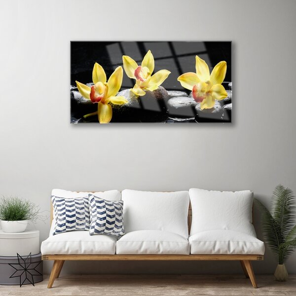 Quadro su vetro Pianta di orchidea da fiore 100x50 cm 2 appendini