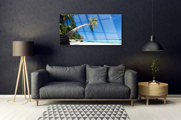 Quadro vetro Spiaggia Palma Mare Paesaggio 100x50 cm 2 appendini