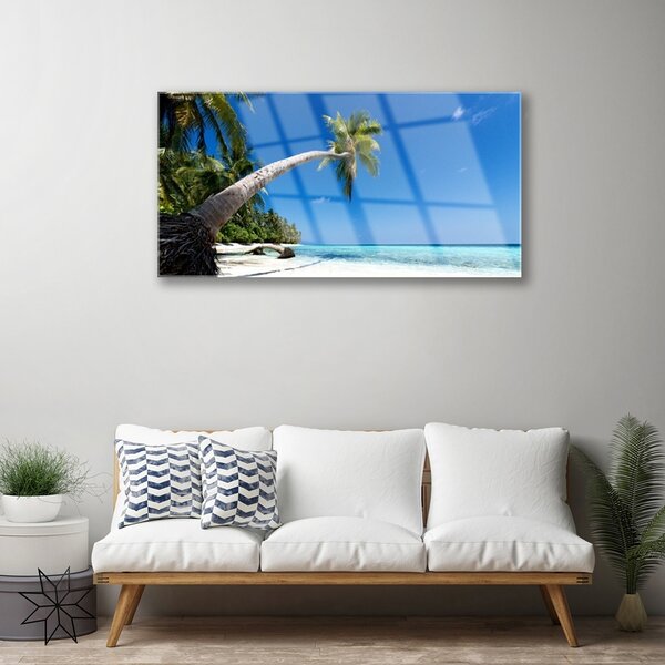Quadro vetro Spiaggia Palma Mare Paesaggio 100x50 cm 2 appendini