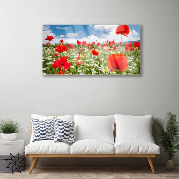 Quadro in vetro Prato Fiori Natura 100x50 cm 2 appendini