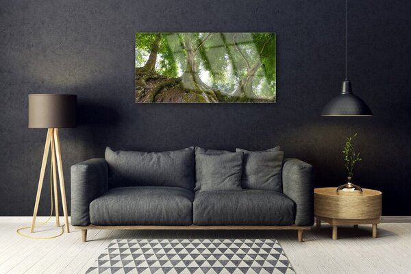 Quadro in vetro Alberi Natura Pianta 100x50 cm 2 appendini