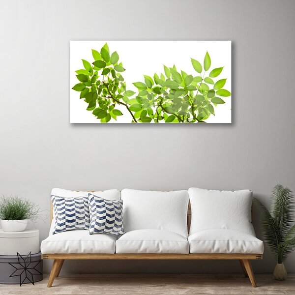 Quadro su vetro Ramo Foglia Pianta Natura 100x50 cm 2 appendini