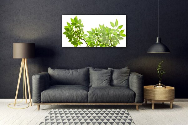 Quadro su vetro Ramo Foglia Pianta Natura 100x50 cm 2 appendini
