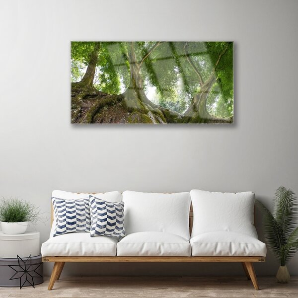 Quadro in vetro Alberi Natura Pianta 100x50 cm 2 appendini