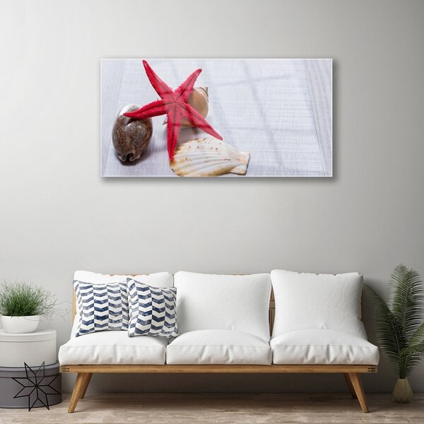 Quadro in vetro Conchiglie di stelle marine Arte 100x50 cm 2 appendini