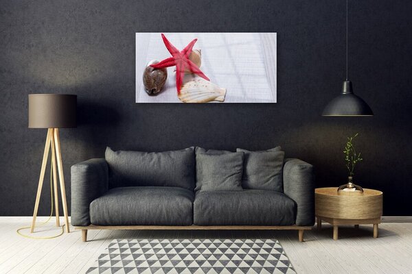 Quadro in vetro Conchiglie di stelle marine Arte 100x50 cm 2 appendini