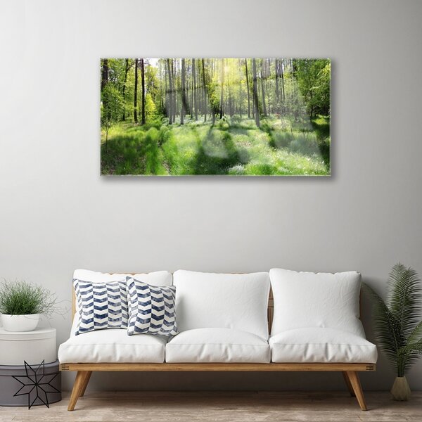 Quadro di vetro Foresta Erba Pianta Natura 100x50 cm 2 appendini