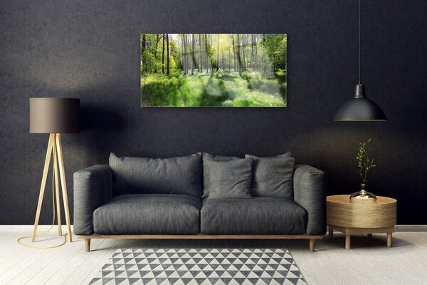 Quadro di vetro Foresta Erba Pianta Natura 100x50 cm 2 appendini