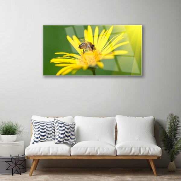 Quadro di vetro Ape Fiore Natura 100x50 cm 2 appendini