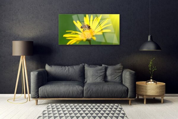 Quadro di vetro Ape Fiore Natura 100x50 cm 2 appendini