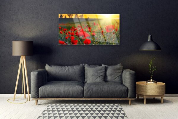 Quadro in vetro Papaveri dei prati Pianta naturale 100x50 cm 2 appendini