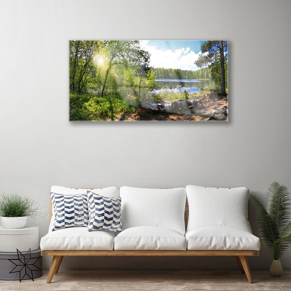 Quadro in vetro Foresta Alberi Lago Natura 100x50 cm 2 appendini