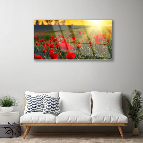 Quadro in vetro Papaveri dei prati Pianta naturale 100x50 cm 2 appendini