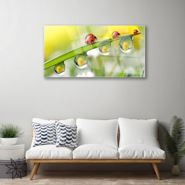 Quadro di vetro Foglia di coccinella Natura 100x50 cm 2 appendini