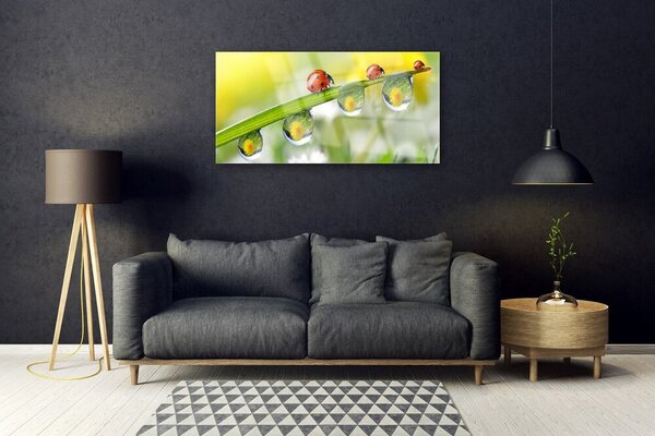 Quadro di vetro Foglia di coccinella Natura 100x50 cm 2 appendini