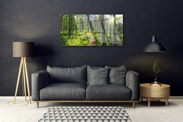 Quadro in vetro Sentiero forestale Natura 100x50 cm 2 appendini