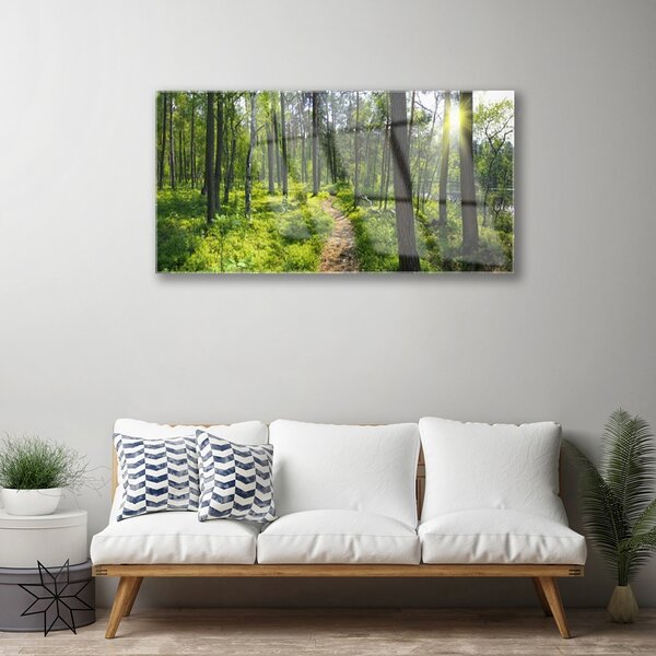 Quadro in vetro Sentiero forestale Natura 100x50 cm 2 appendini