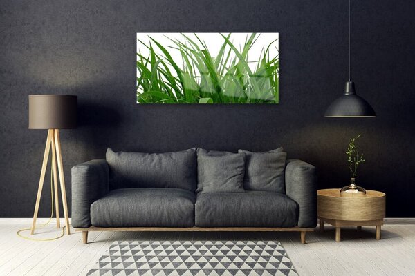 Quadro in vetro Erba Pianta Natura 100x50 cm 2 appendini