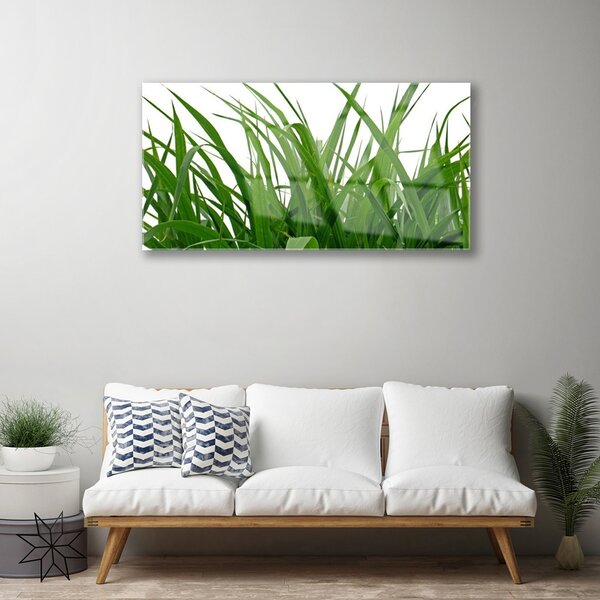 Quadro in vetro Erba Pianta Natura 100x50 cm 2 appendini