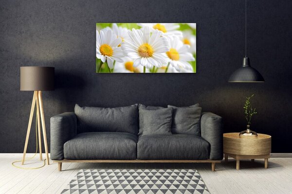 Quadro in vetro Pianta naturale margherita 100x50 cm 2 appendini