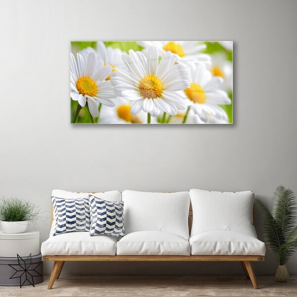 Quadro in vetro Pianta naturale margherita 100x50 cm 2 appendini