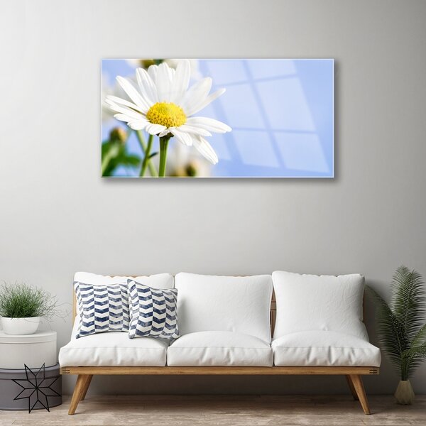Quadro su vetro Pianta naturale margherita 100x50 cm 2 appendini