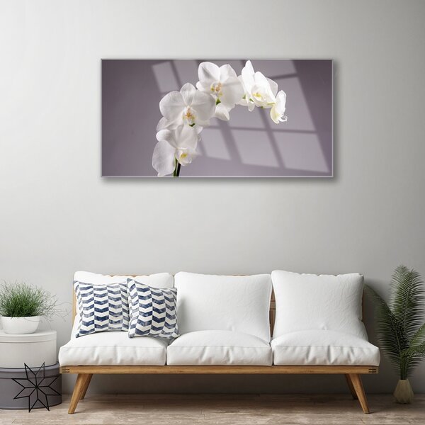 Quadro vetro Fiori Pianta naturale 100x50 cm 2 appendini