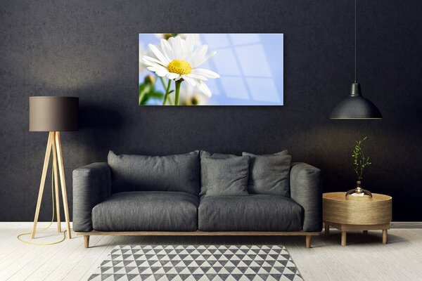 Quadro su vetro Pianta naturale margherita 100x50 cm 2 appendini