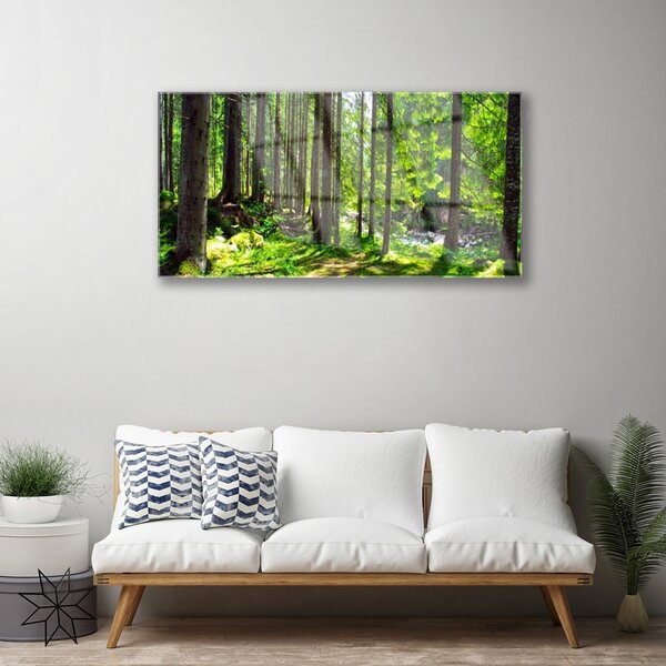 Quadro di vetro Foresta Alberi Pianta Natura 100x50 cm 2 appendini