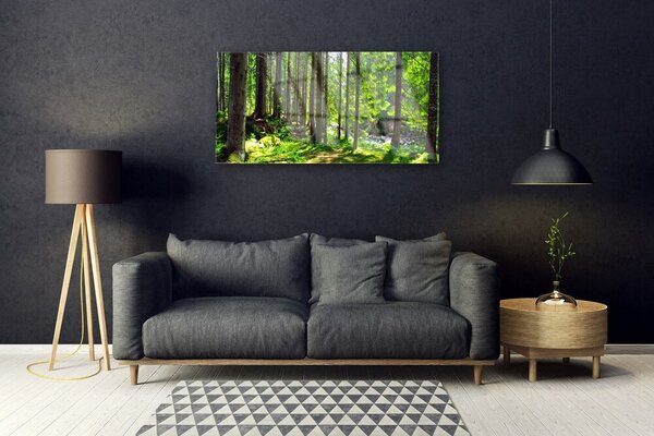 Quadro di vetro Foresta Alberi Pianta Natura 100x50 cm 2 appendini