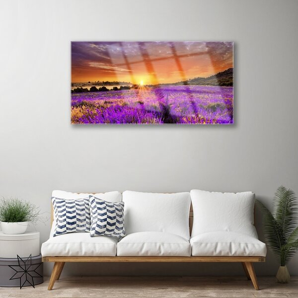 Quadro vetro Campo di lavanda al tramonto 100x50 cm 2 appendini