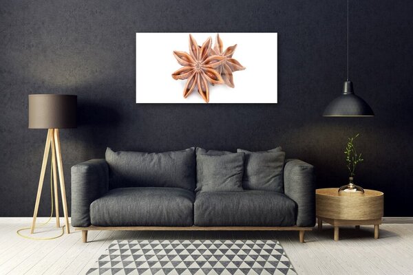 Quadro su vetro Spezia all'anice stellato 100x50 cm 2 appendini