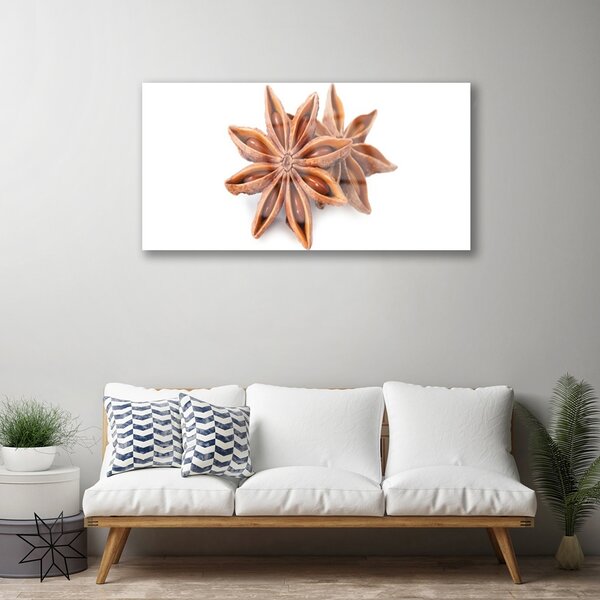 Quadro su vetro Spezia all'anice stellato 100x50 cm 2 appendini