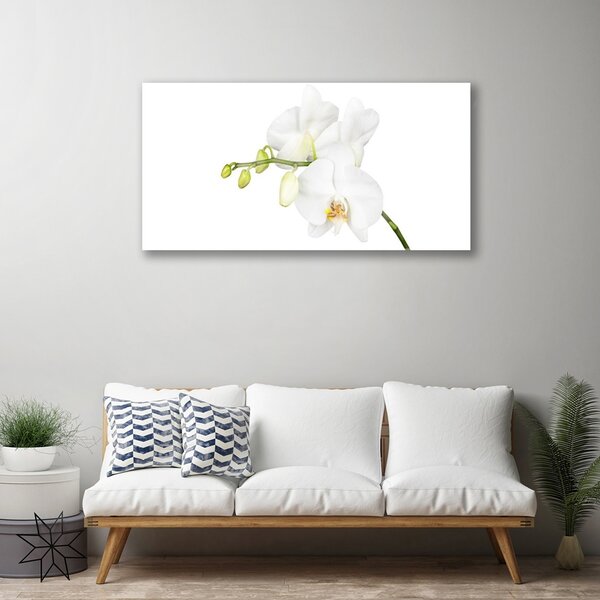 Quadro vetro Orchidea Fiori della natura 100x50 cm 2 appendini