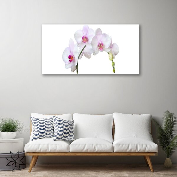 Quadro in vetro Orchidea Fiori di orchidea 100x50 cm 2 appendini