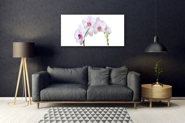 Quadro in vetro Orchidea Fiori di orchidea 100x50 cm 2 appendini