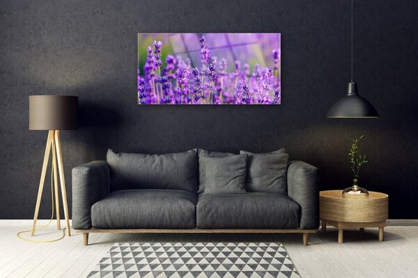 Quadro vetro Campo di lavanda viola 100x50 cm 2 appendini