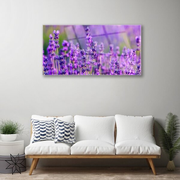 Quadro vetro Campo di lavanda viola 100x50 cm 2 appendini