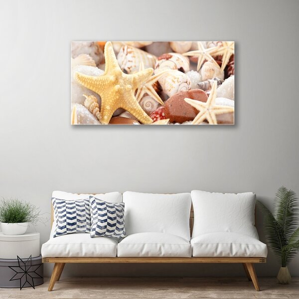 Quadro vetro Conchiglie di stelle marine sulla spiaggia 100x50 cm 2 appendini