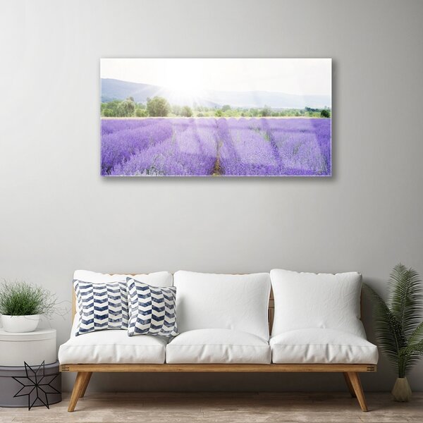 Quadro su vetro Campo di lavanda Prato naturale 100x50 cm 2 appendini