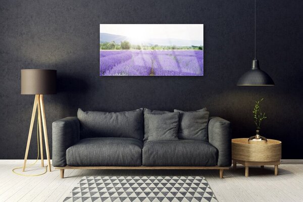 Quadro su vetro Campo di lavanda Prato naturale 100x50 cm 2 appendini