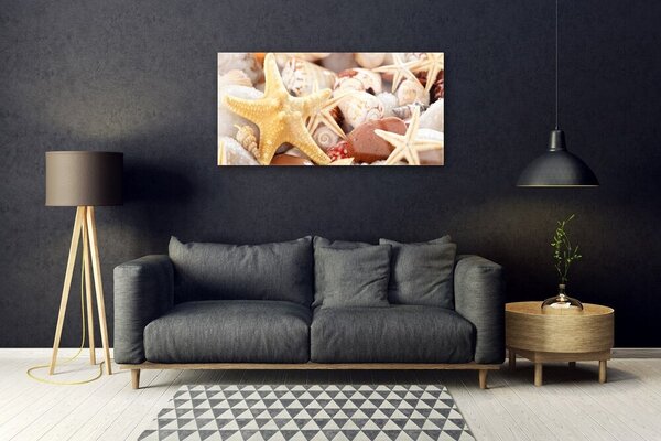 Quadro vetro Conchiglie di stelle marine sulla spiaggia 100x50 cm 2 appendini