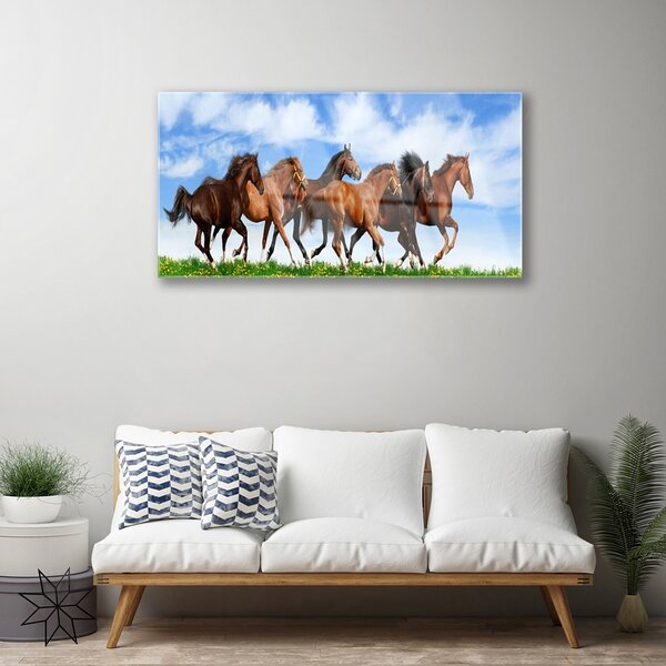 Quadro di vetro Cavalli al galoppo nel pascolo 100x50 cm 2 appendini