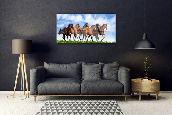 Quadro di vetro Cavalli al galoppo nel pascolo 100x50 cm 2 appendini