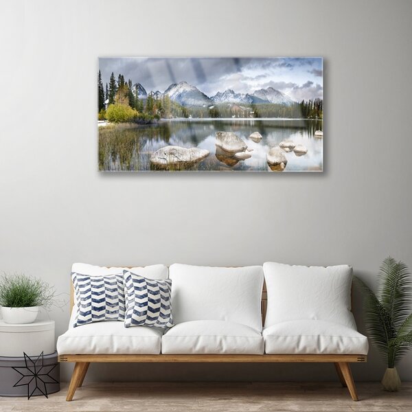 Quadro in vetro Lago Montagne Foresta Paesaggio 100x50 cm 2 appendini