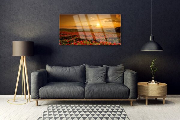 Quadro in vetro Papaveri di campo Prato al tramonto 100x50 cm 2 appendini