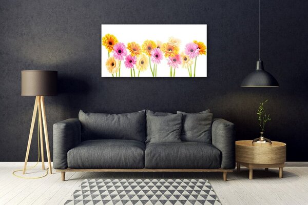 Quadro in vetro Fiori Gerbere colorate 100x50 cm 2 appendini