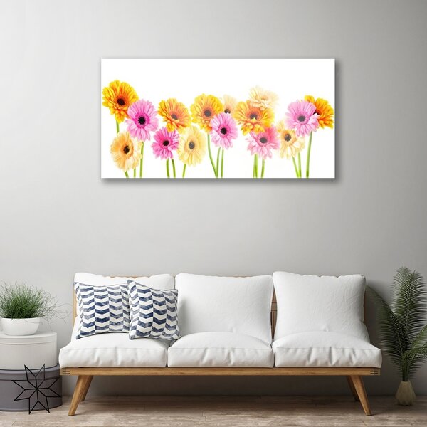 Quadro in vetro Fiori Gerbere colorate 100x50 cm 2 appendini