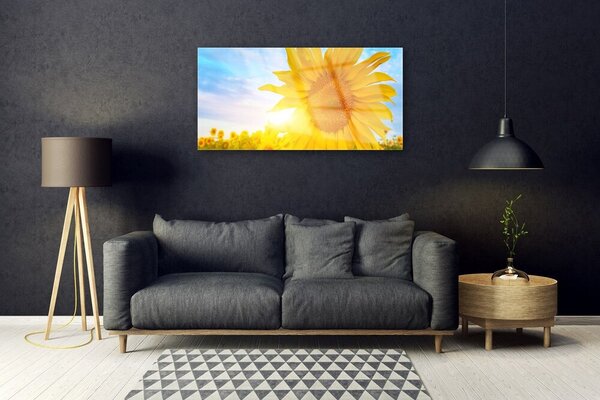 Quadro in vetro Girasole Girasole 100x50 cm 2 appendini